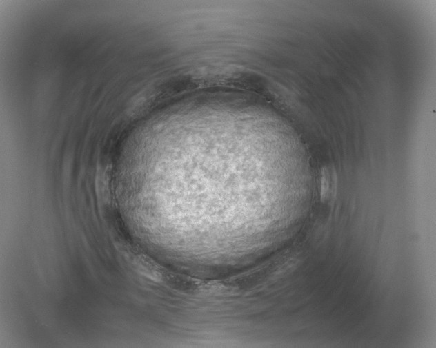 X0000079341059200612011928