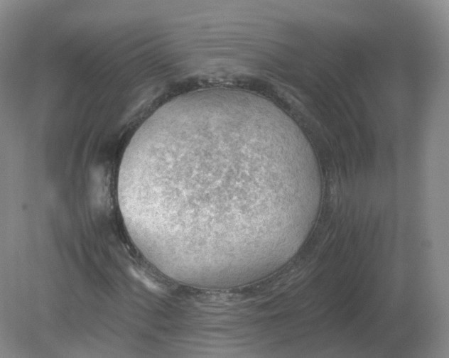 X0000079341060200612011928