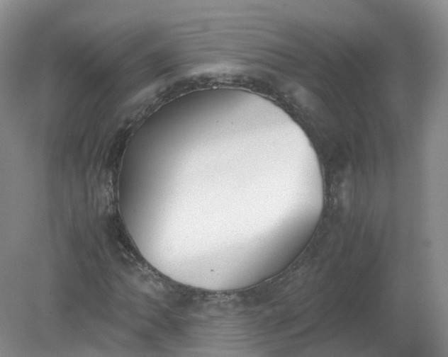 X0000079341062200612011928