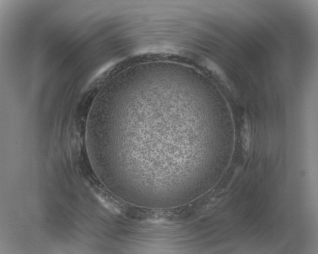 X0000079341064200612011928