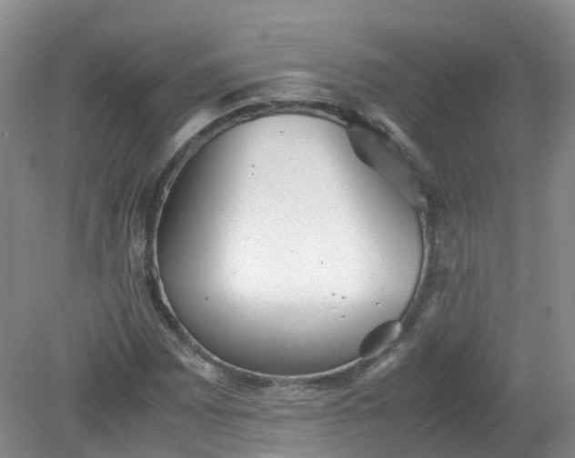 X0000079341065200612011928