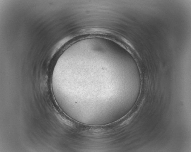 X0000079341066200612011928