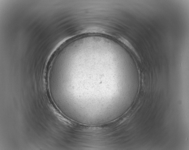 X0000079341068200612011928