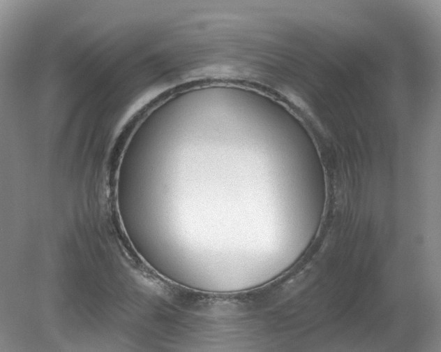 X0000079341070200612011928