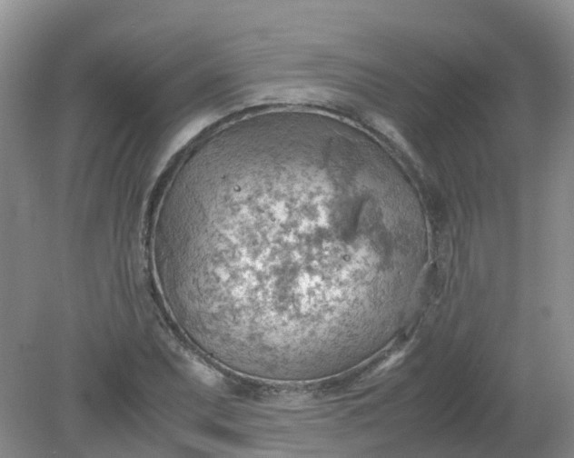 X0000079341071200612011928