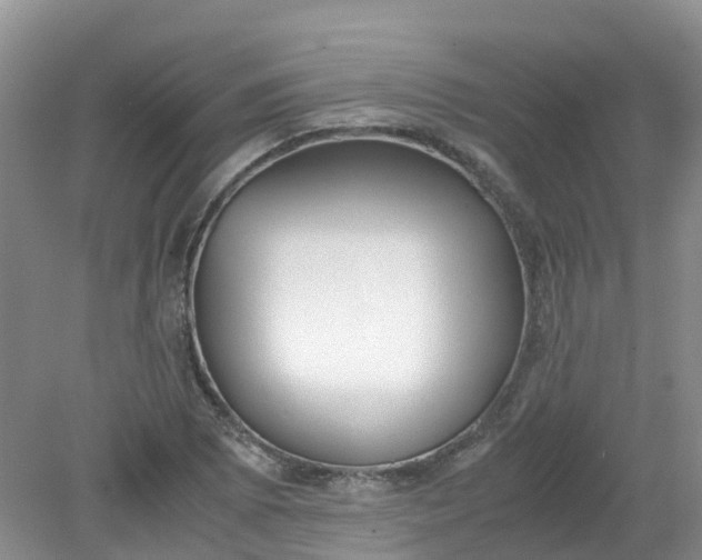 X0000079341073200612011928