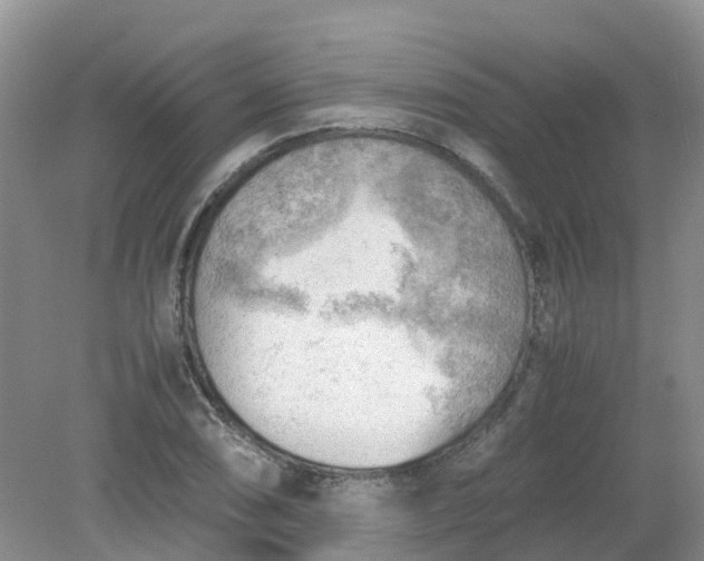 X0000079341074200612011928