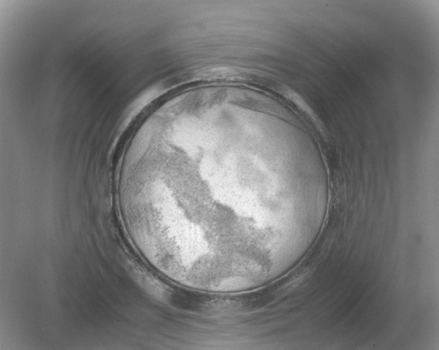 X0000079341075200612011928