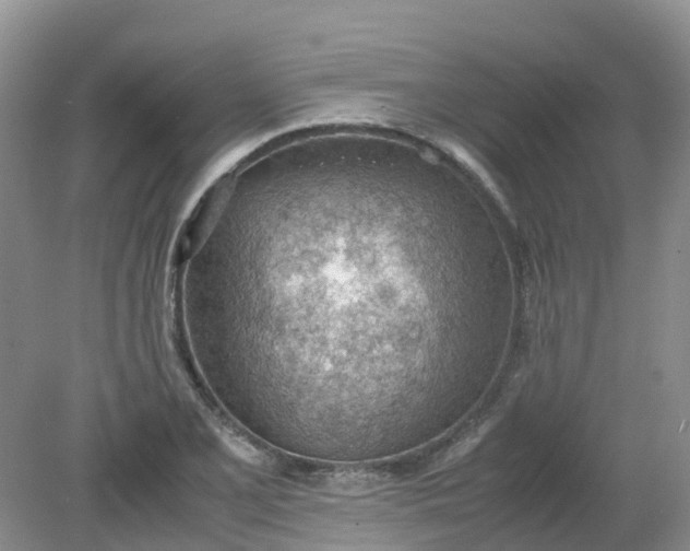 X0000079341077200612011928