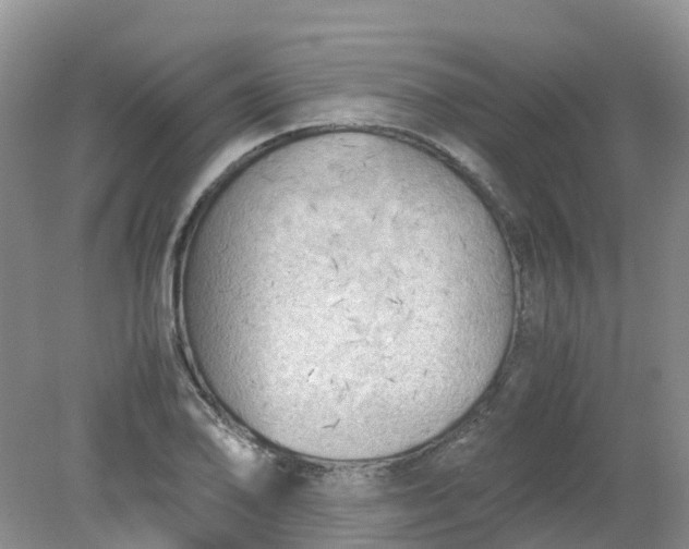 X0000079341078200612011928