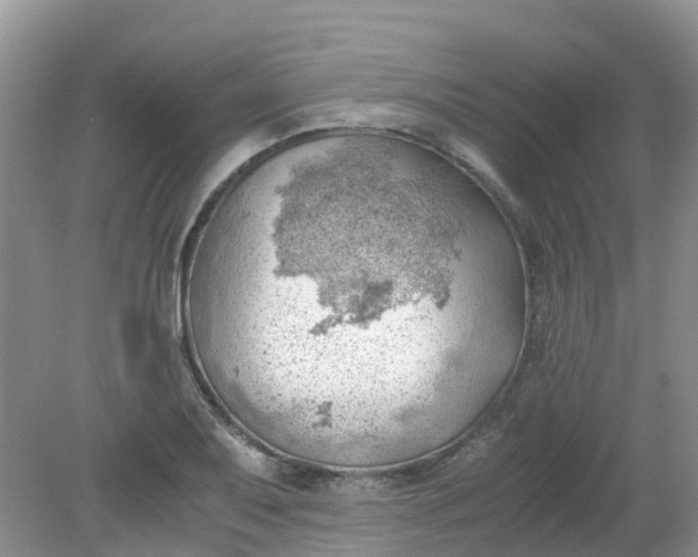 X0000079341079200612011928