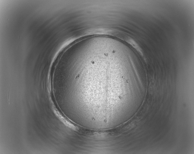 X0000079341080200612011928