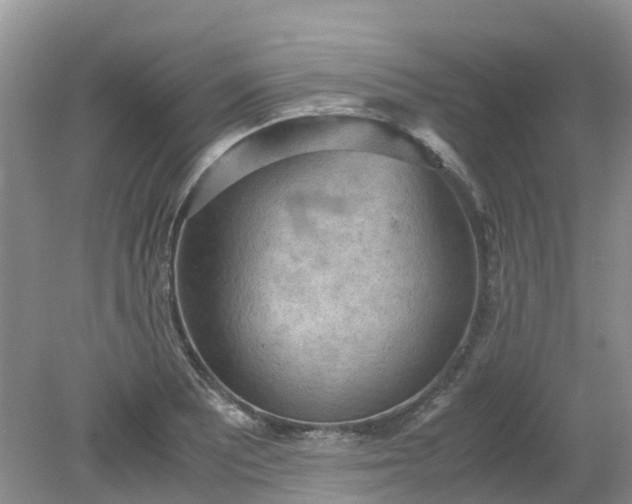 X0000079341081200612011928