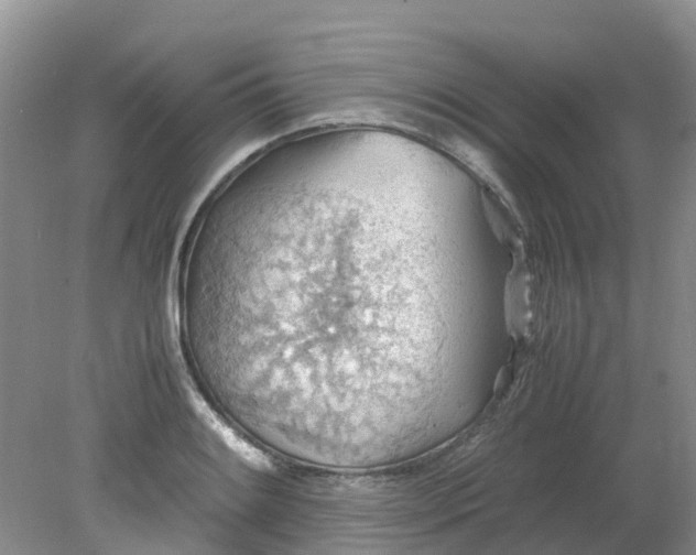 X0000079341084200612011928