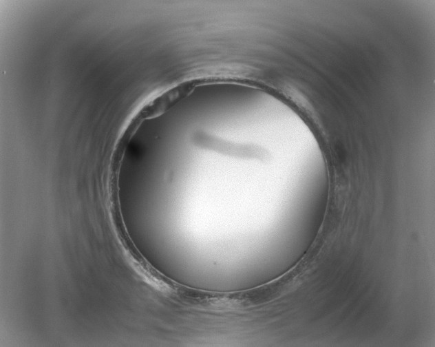 X0000079341085200612011928