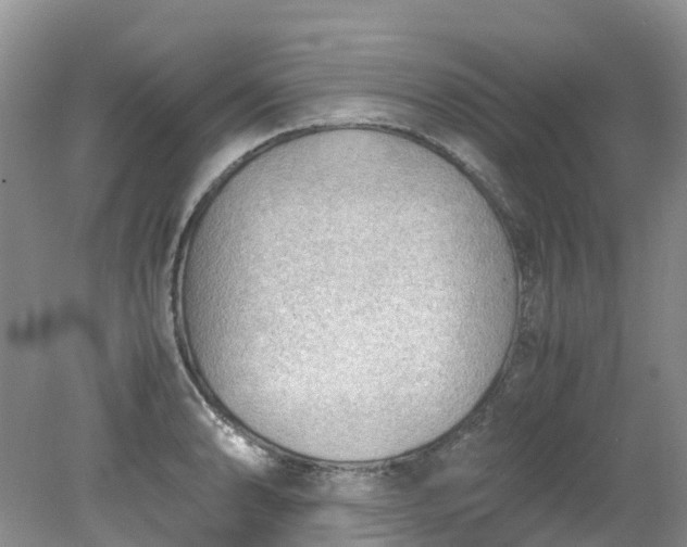 X0000079341086200612011927