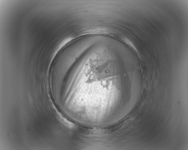 X0000079341087200612011927