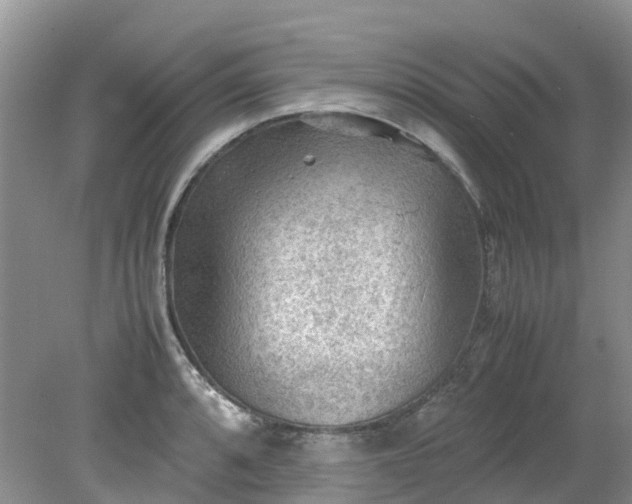 X0000079341088200612011927