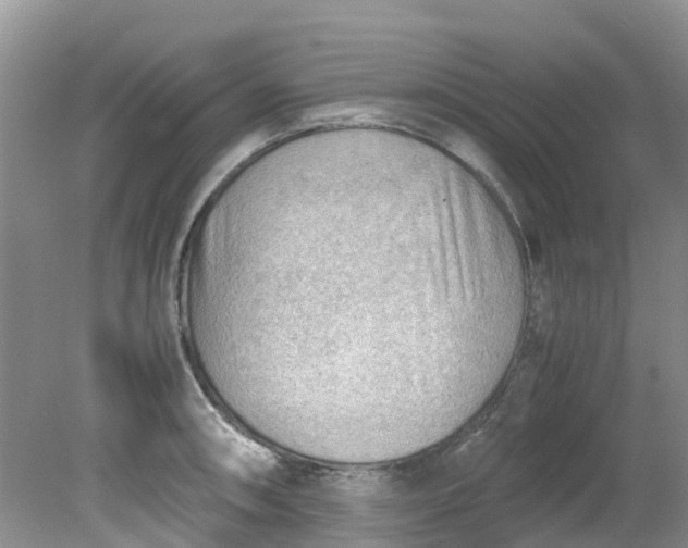 X0000079341090200612011927