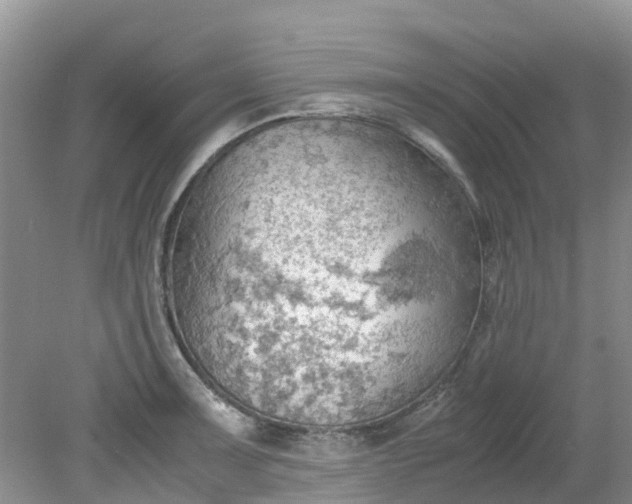 X0000079341091200612011927