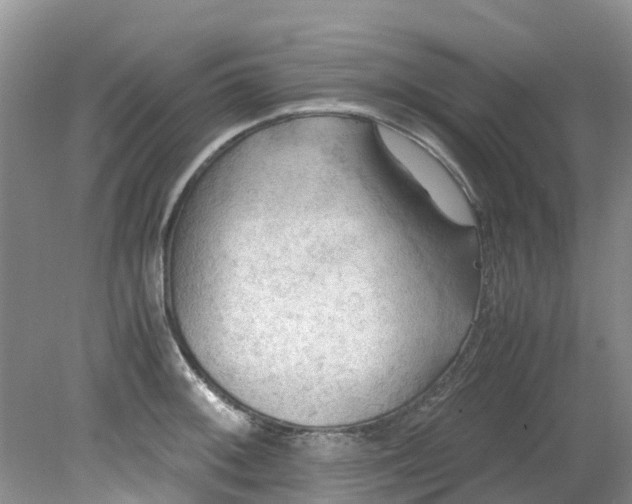 X0000079341092200612011927