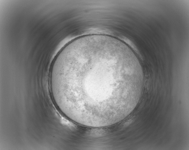 X0000079341094200612011927