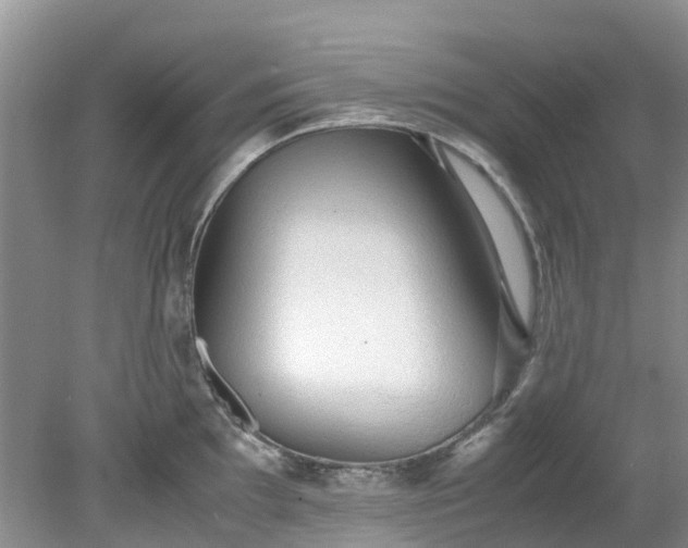 X0000079341097200612011927