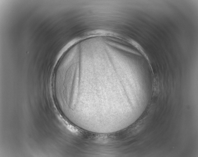 X0000079341098200612011927