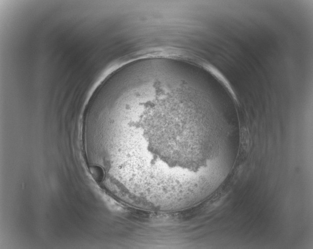 X0000079341099200612011927