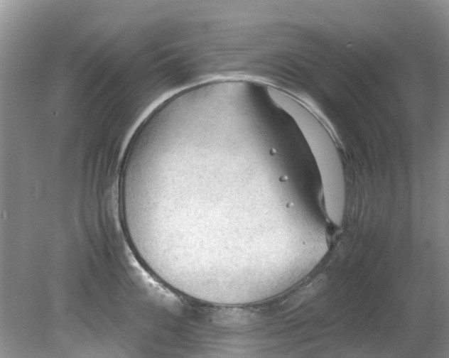 X0000079341100200612011927