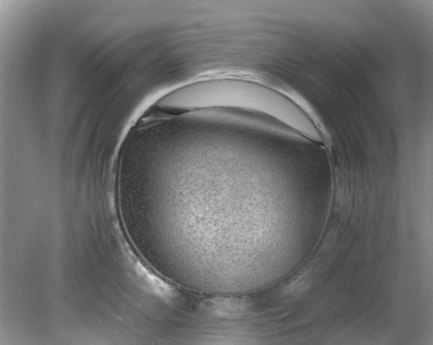 X0000079341102200612011927