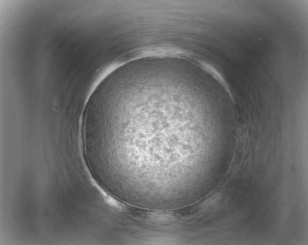 X0000079341103200612011927