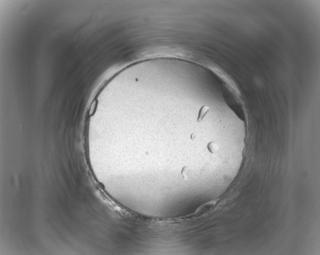 X0000079341104200612011927