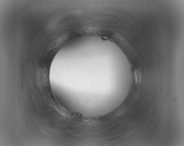 X0000079341107200612011926