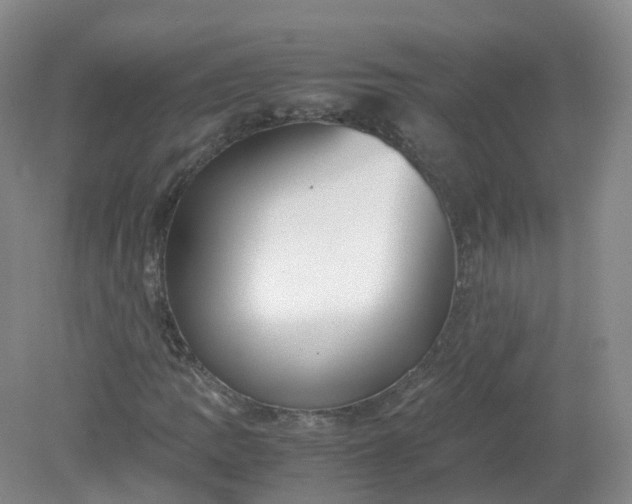 X0000079341109200612011926