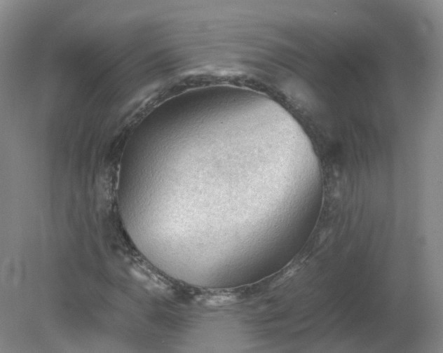 X0000079341110200612011926