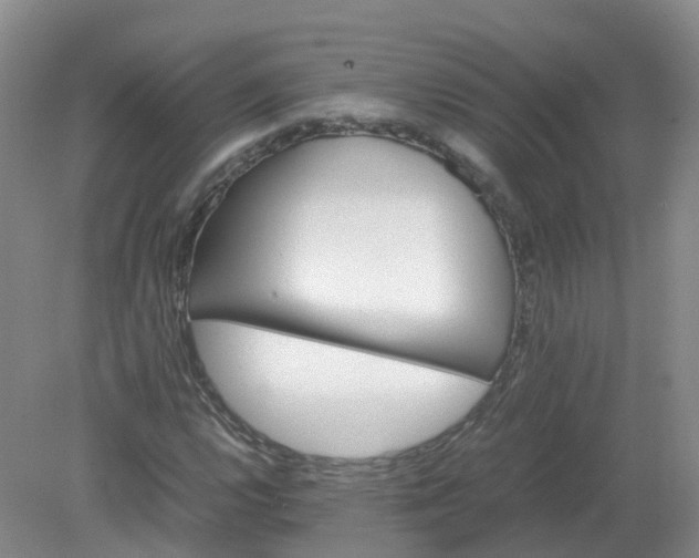 X0000079341112200612011926