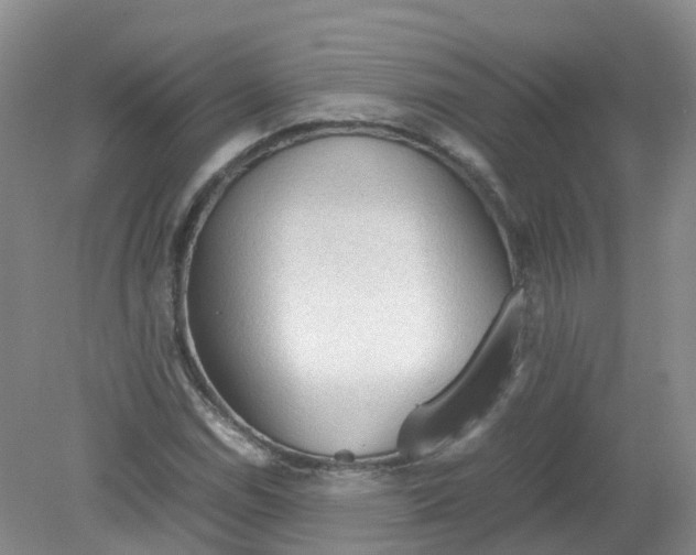 X0000079341114200612011927