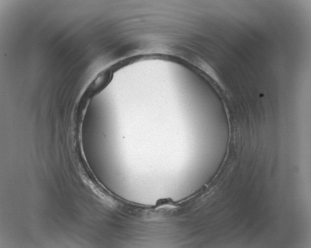 X0000079341116200612011927