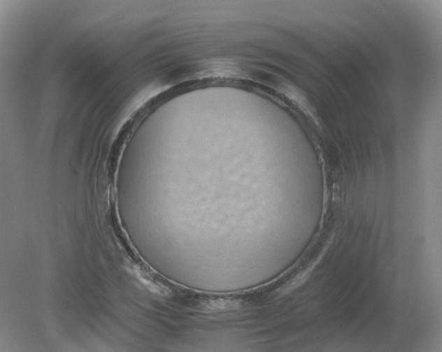 X0000079341117200612011927