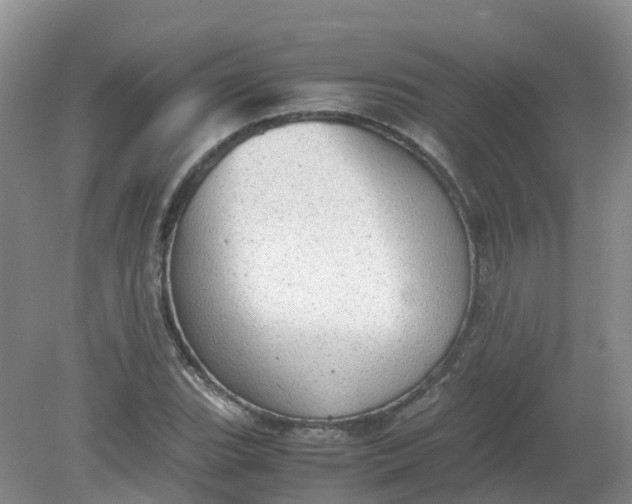 X0000079341119200612011927