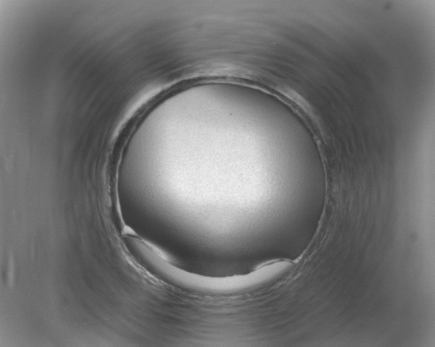 X0000079341120200612011927