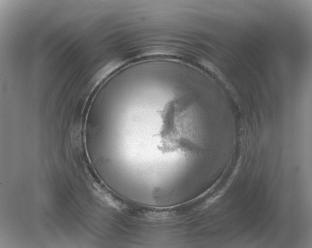 X0000079341121200612011927