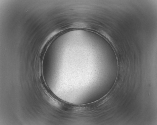 X0000079341123200612011927