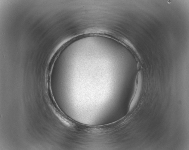 X0000079341124200612011927