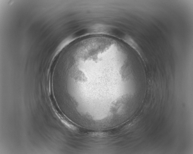 X0000079341127200612011927