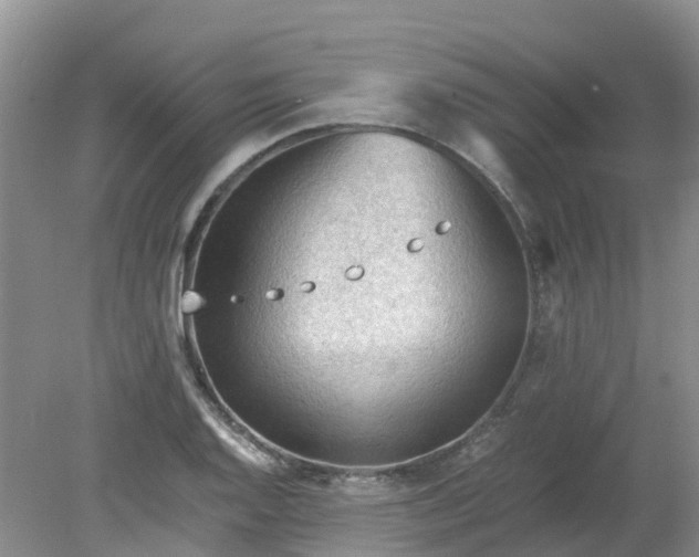 X0000079341128200612011927