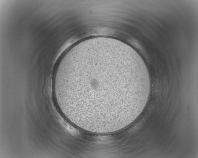 X0000079341130200612011927