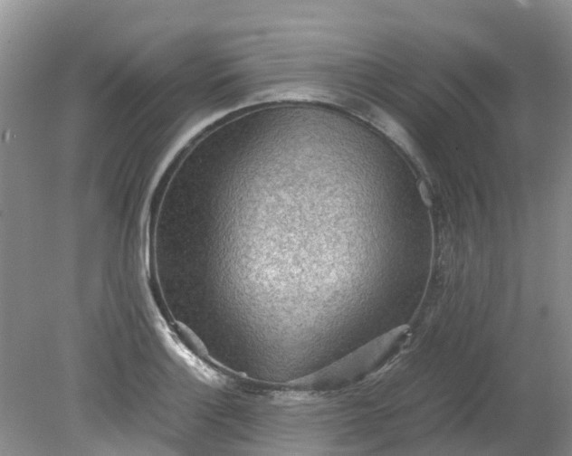 X0000079341132200612011927