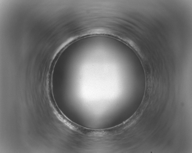 X0000079341134200612011927